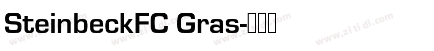 SteinbeckFC Gras字体转换